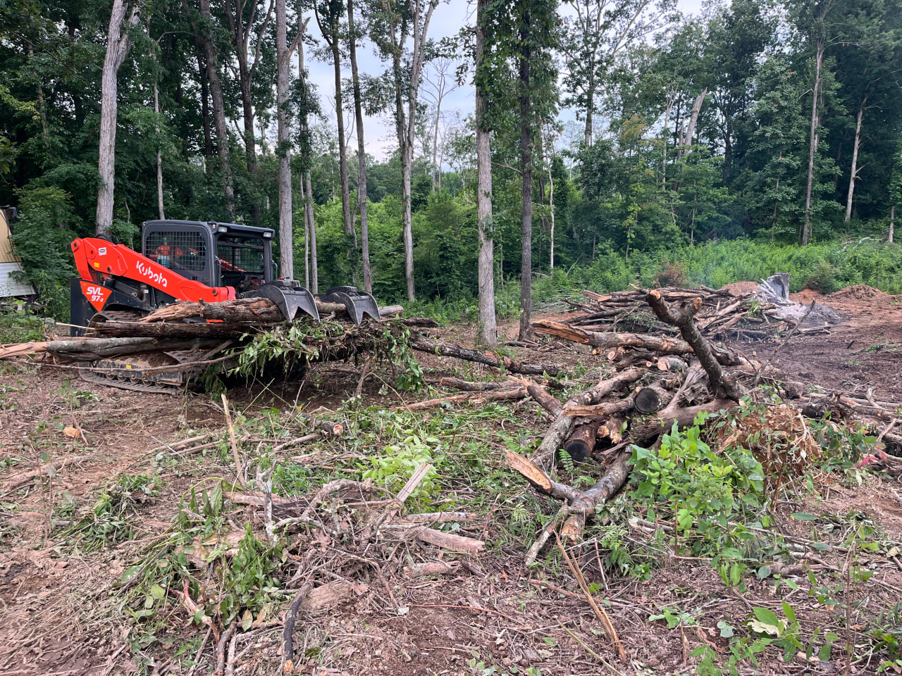 Land Clearing vs. Forestry Mulching in Southern Tennessee: Which Is Right for Your Property?