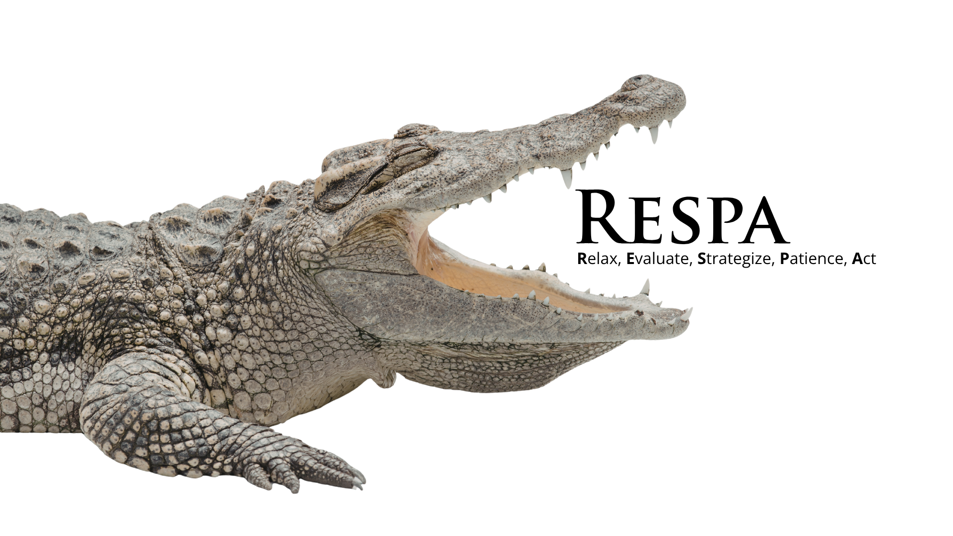 Respa the Crocodile