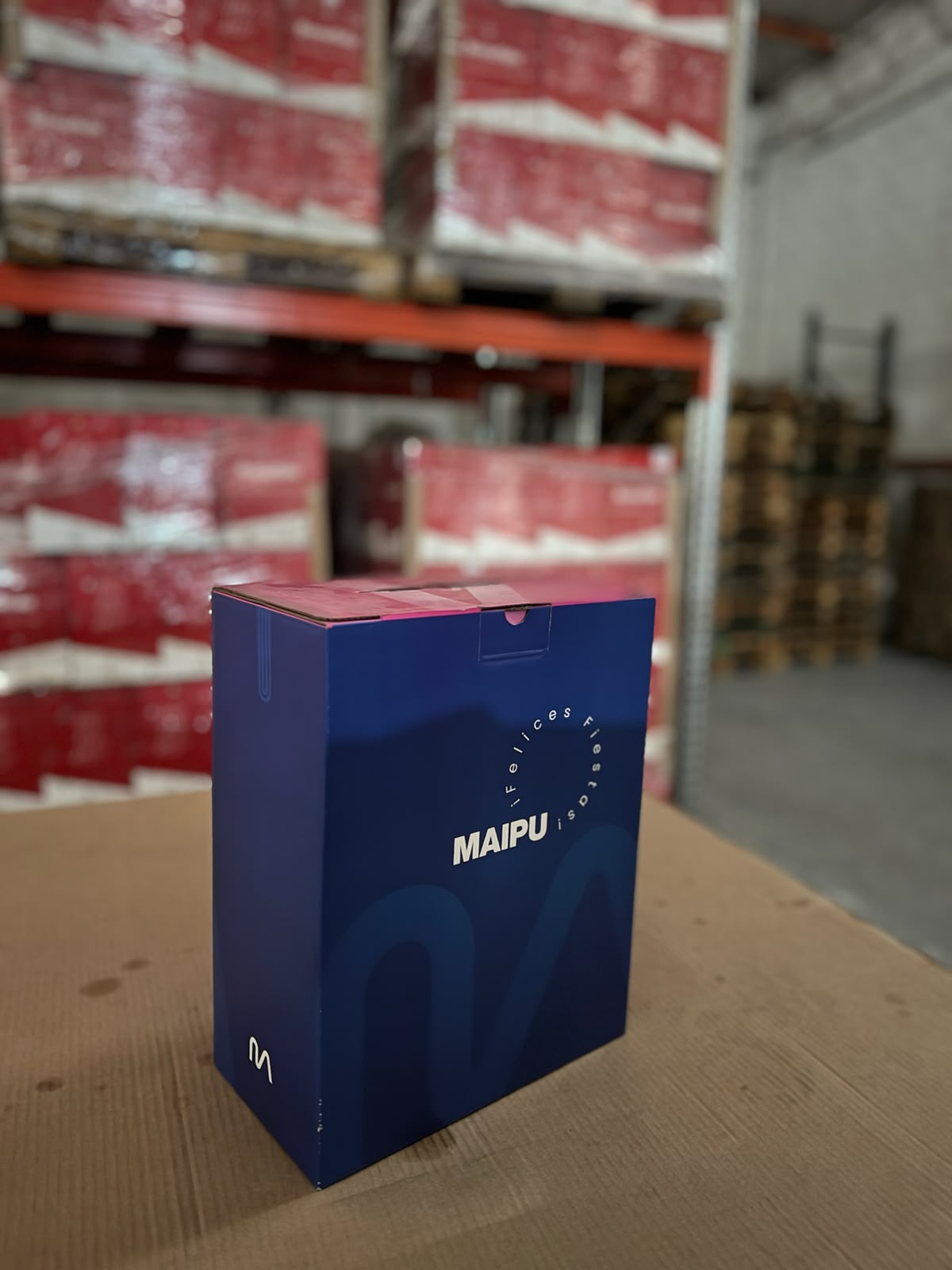Caja Navideña Mundo Maipú