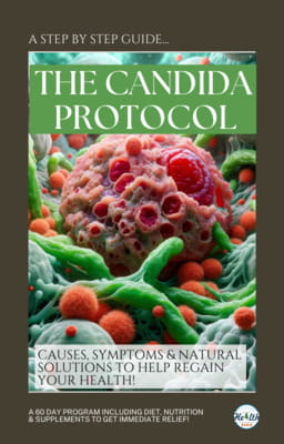 Candida ebook cover