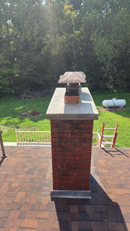Nelson Chimney Services project photo 47