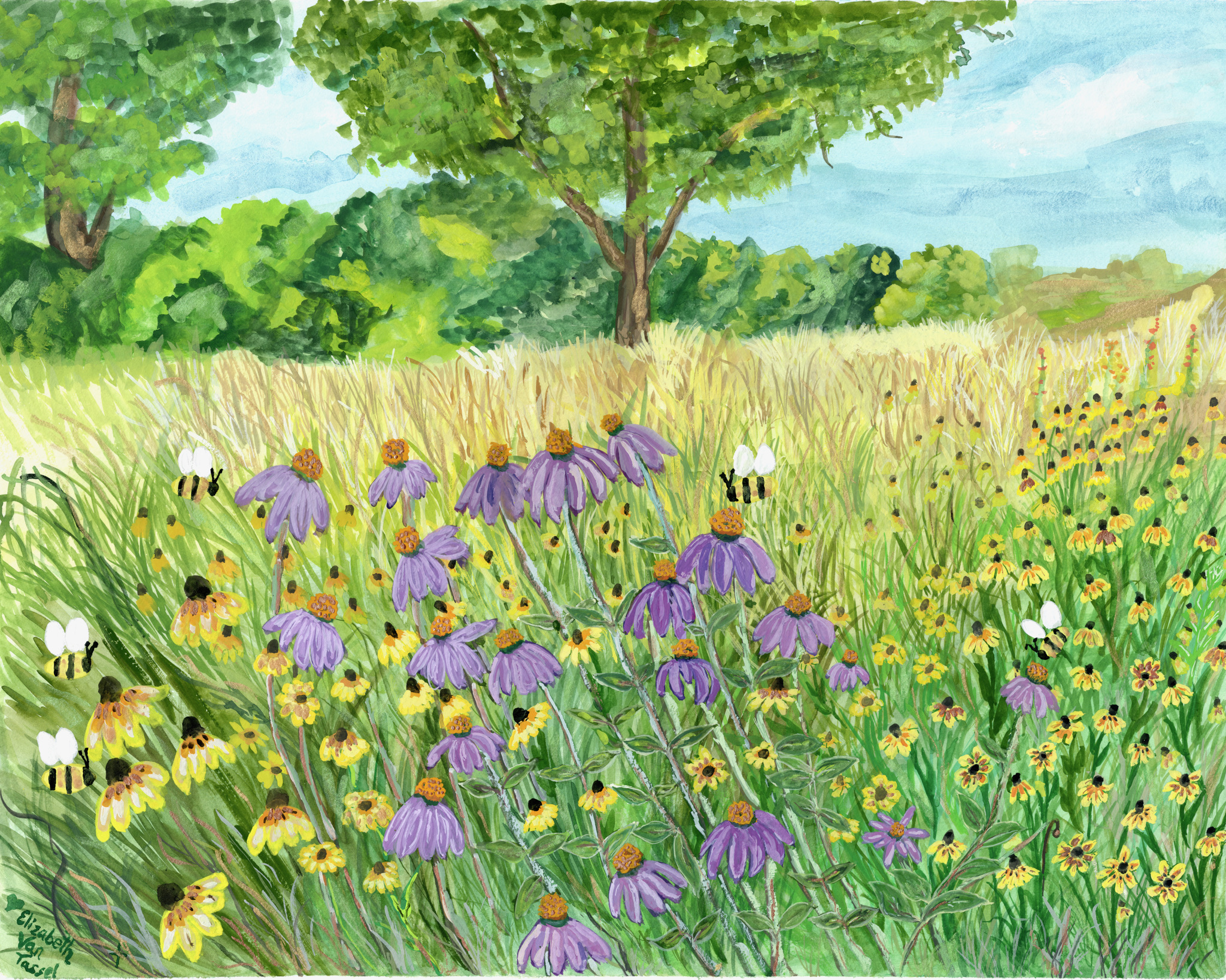 Whispers in the Field, original artwork by Elizabeth Van Tassel in gouache with flowers and bumble bees in an Idaho field.