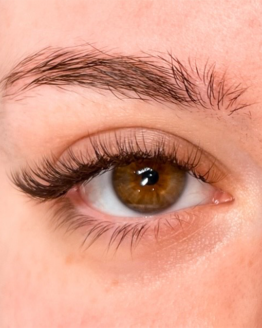 Lash Extensions