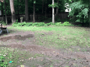 {{ custom_values.service_4 }} in {{custom_values.area_2})