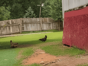 {{ custom_values.service_2 }} in {{custom_values.area_2})