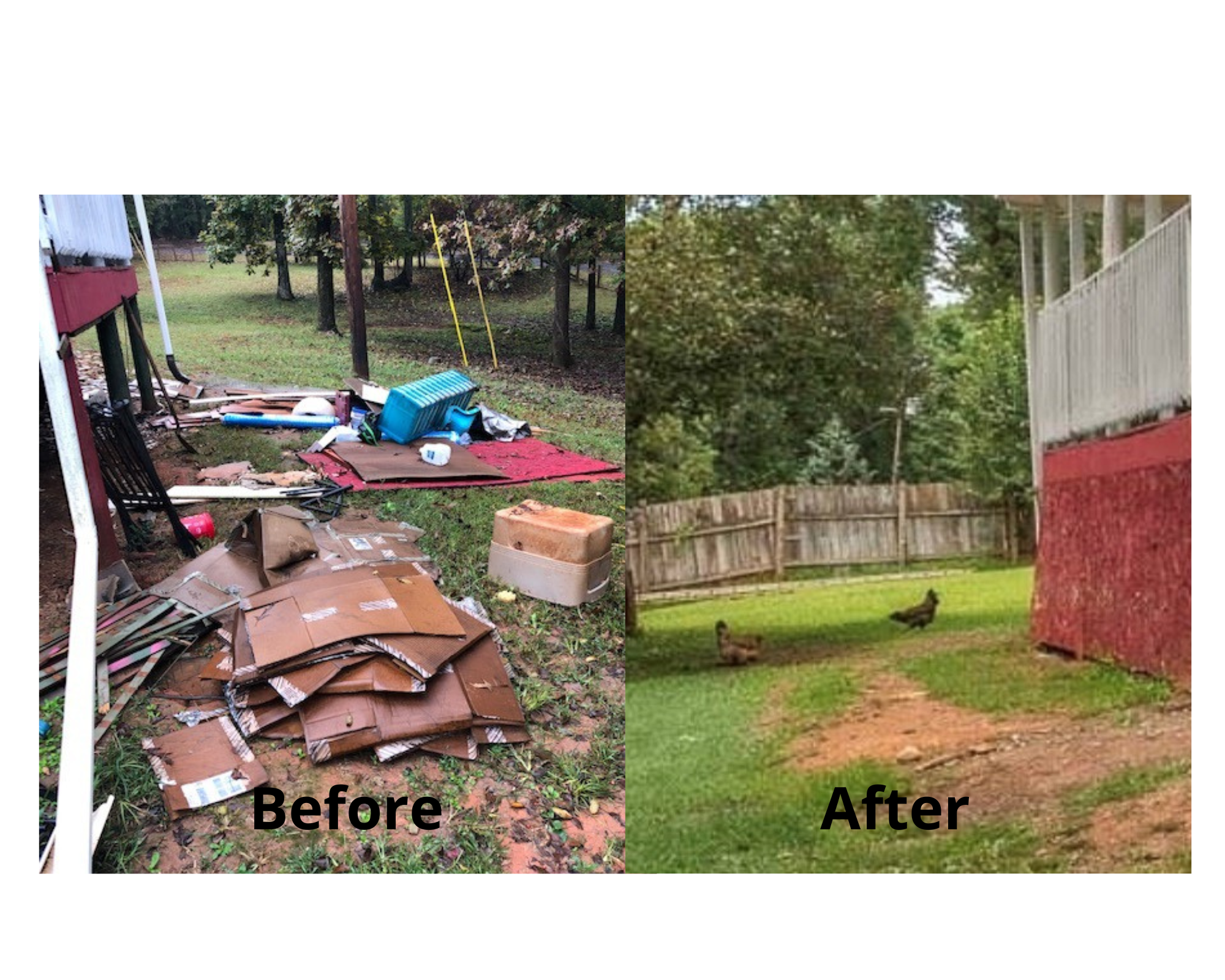 Estate Clean Out in Cumming