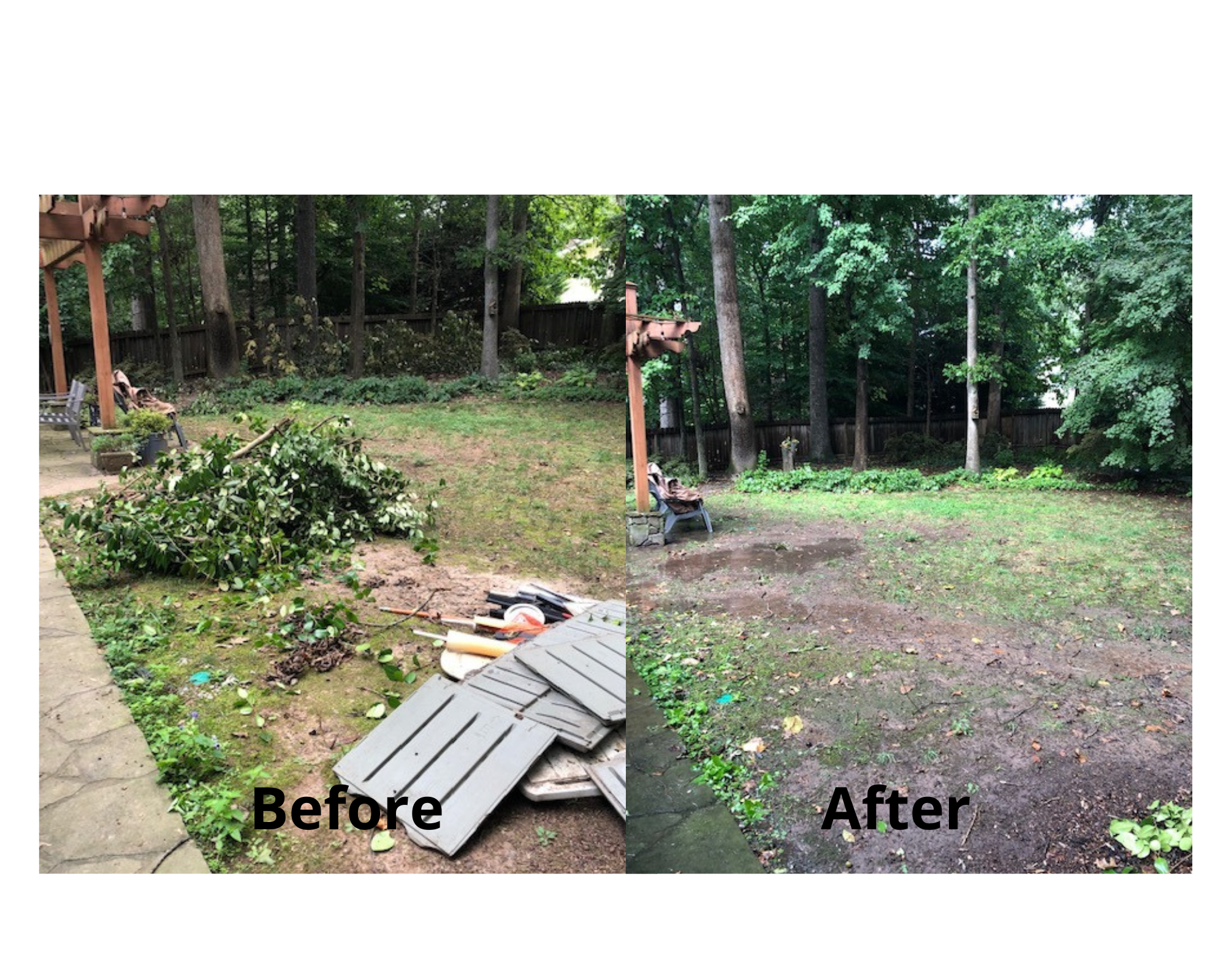 Estate Clean Out in Gainsville