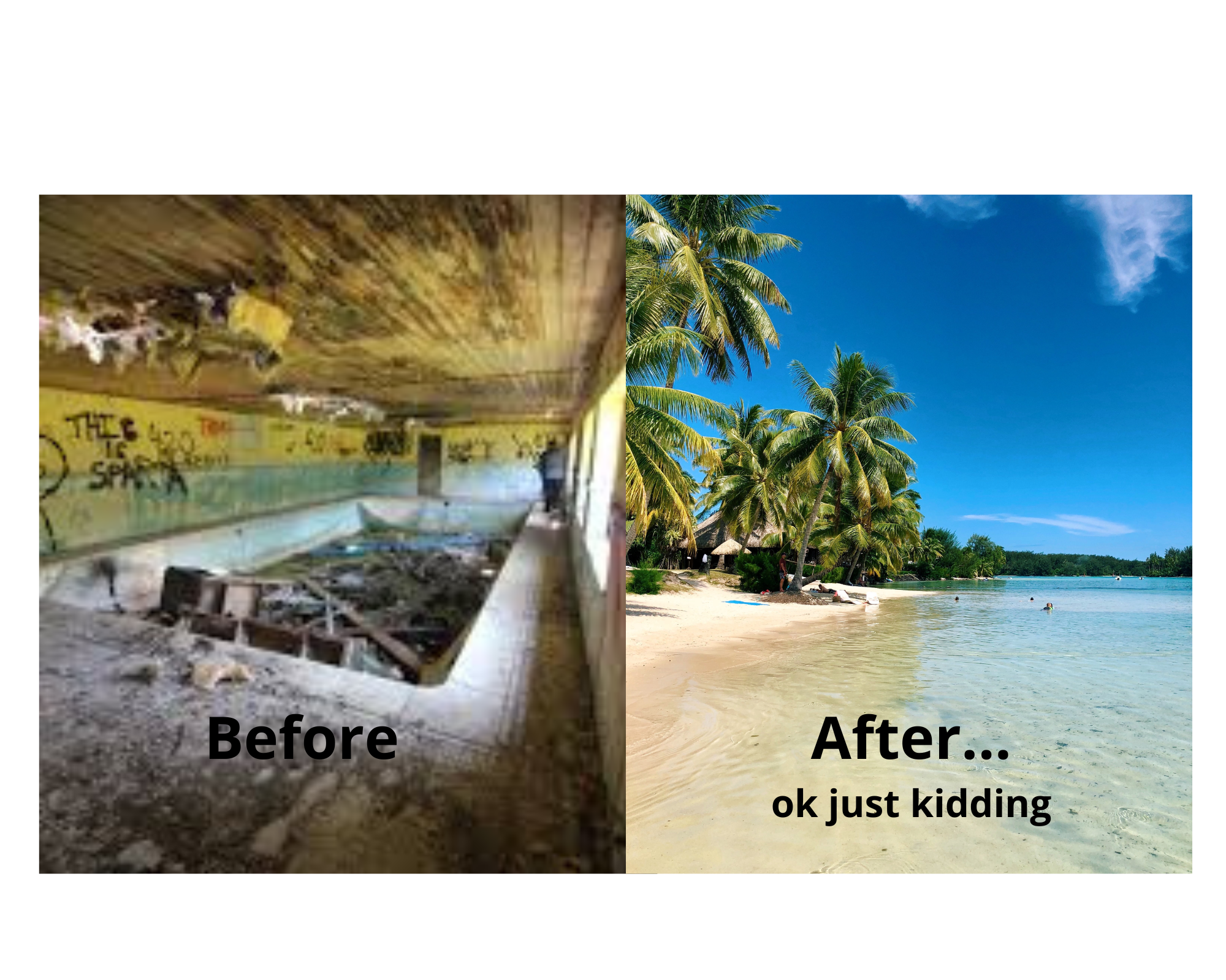 Garage Clean Out in Gainsville