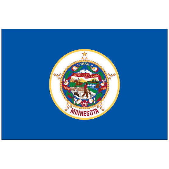 The original Minnesota State Flag