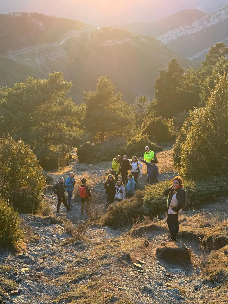 Singles disfrutando de una ruta de senderismo guiada en la naturaleza