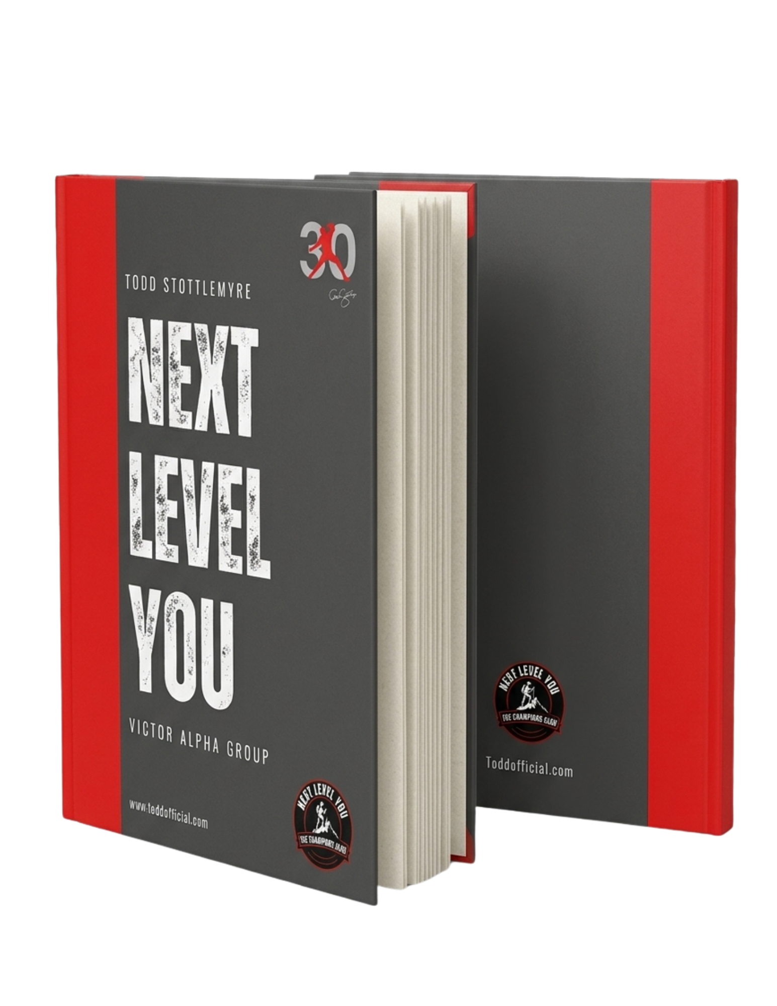 The Next Level You Workbook System