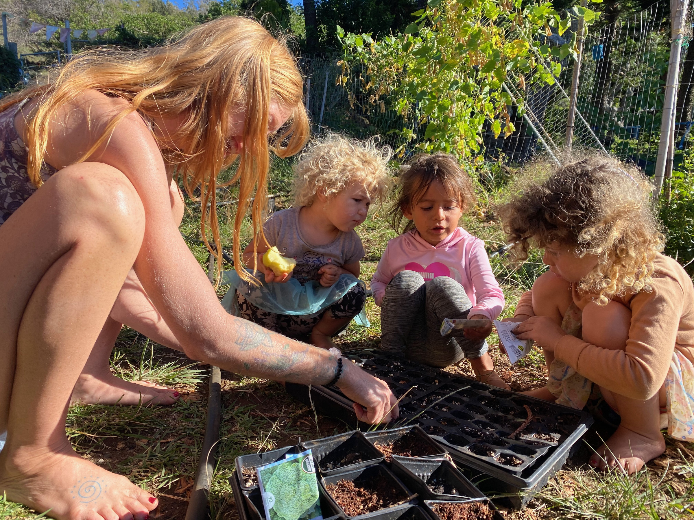 Planting and propagation by hand at Karuna Miracle Gardens on Maui