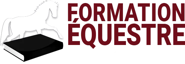 Logo Formation équestre Stéphanie Ouellette