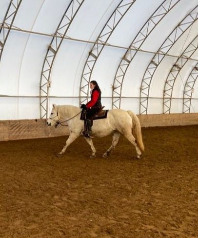 Cours équitation 3
