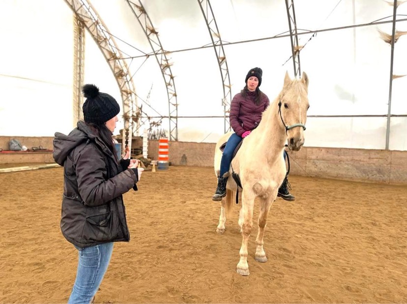 Travail au sol avec cheval