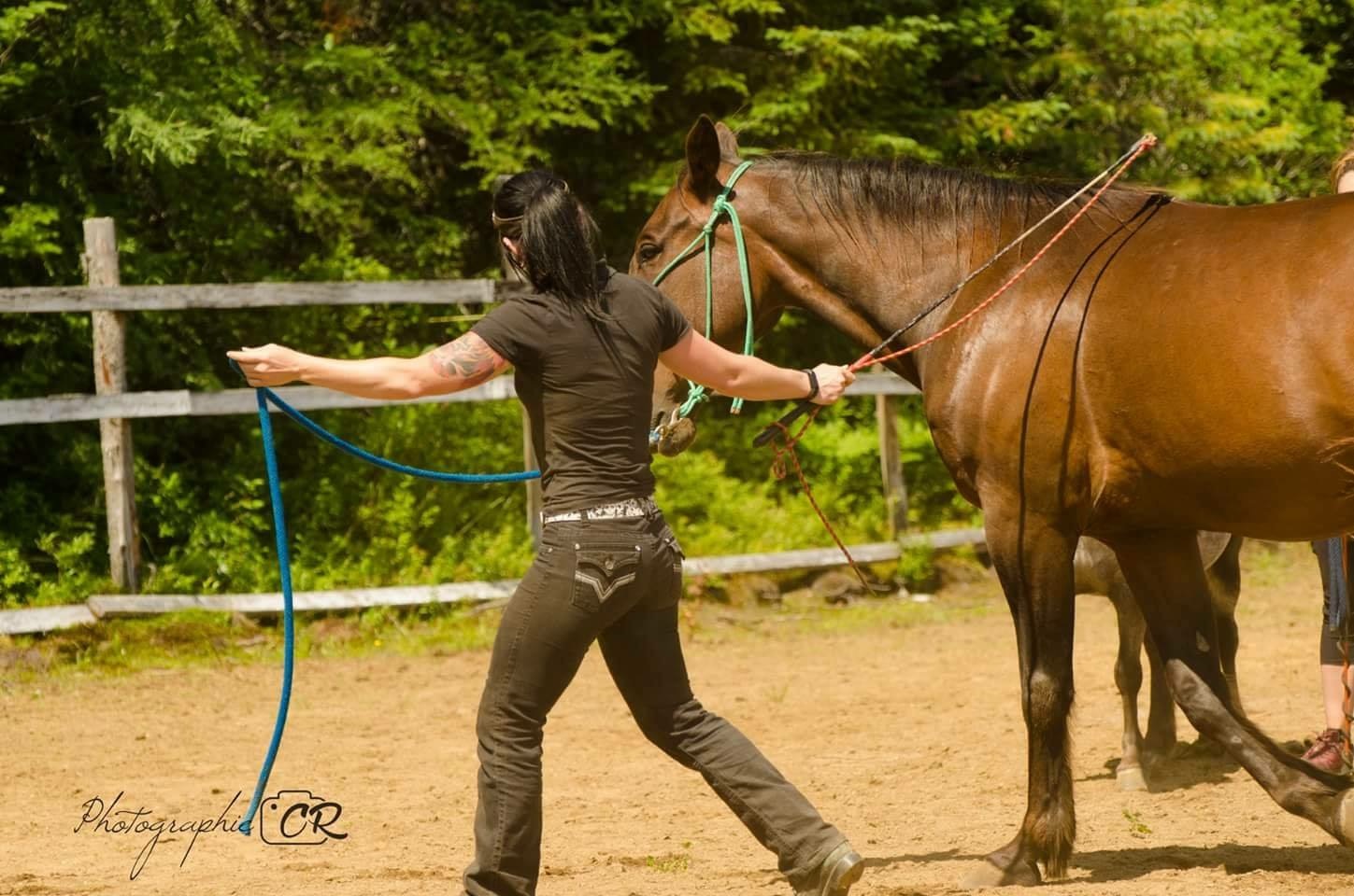 Cavalière et cheval