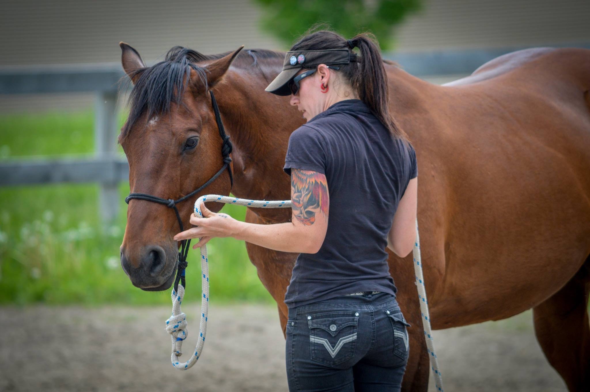 Entraînement de cheval Kala