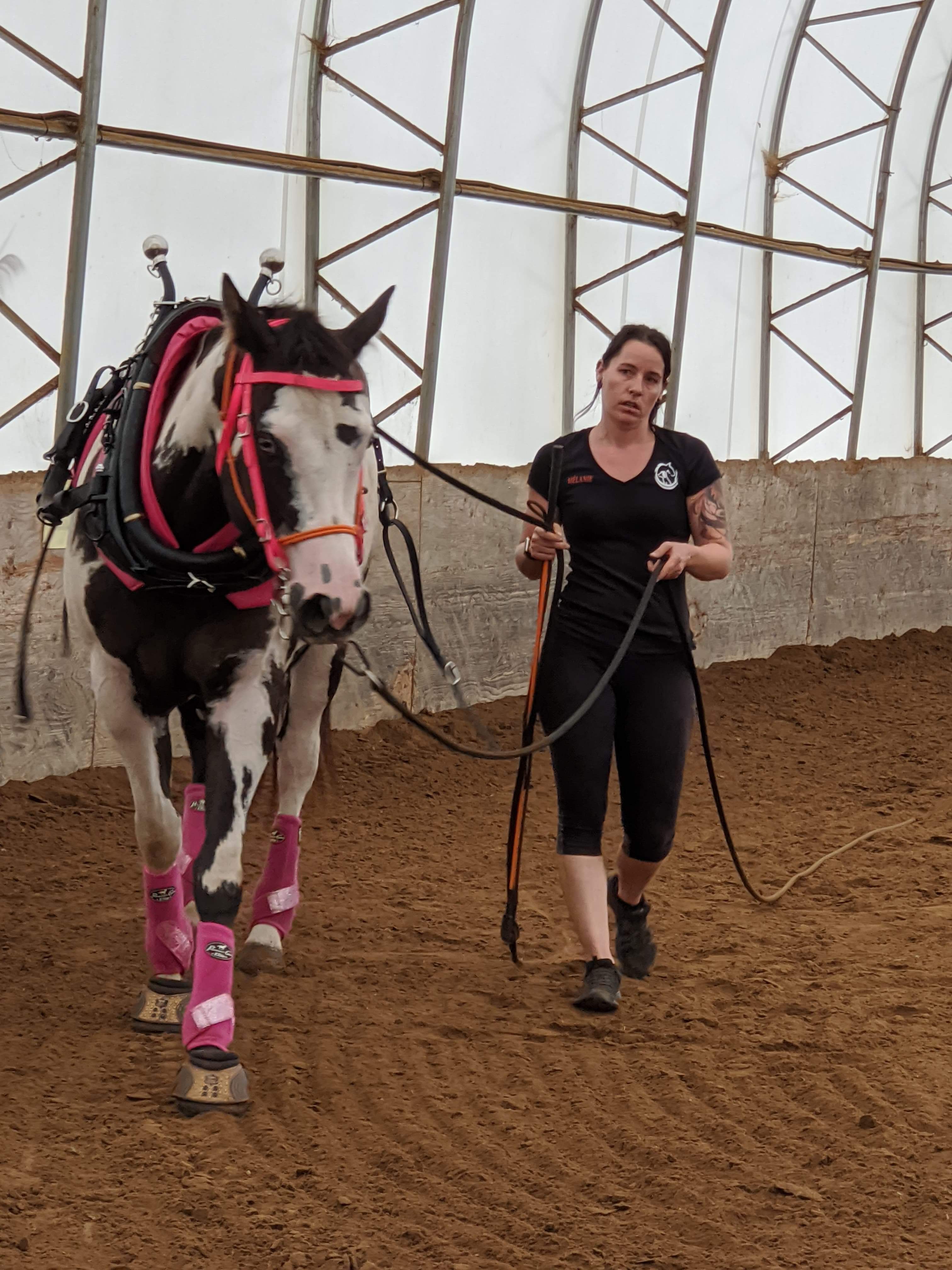 Formation d'une journée Kala