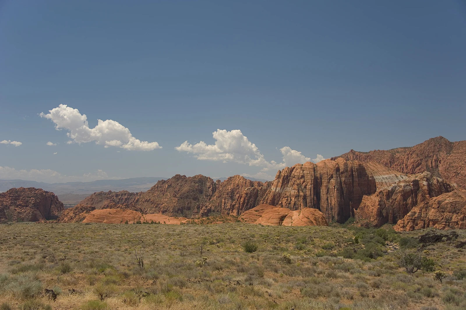 Sandstone cliffs and desert vegetation in Snow Canyon State Park, photographed by Oliver Dodd