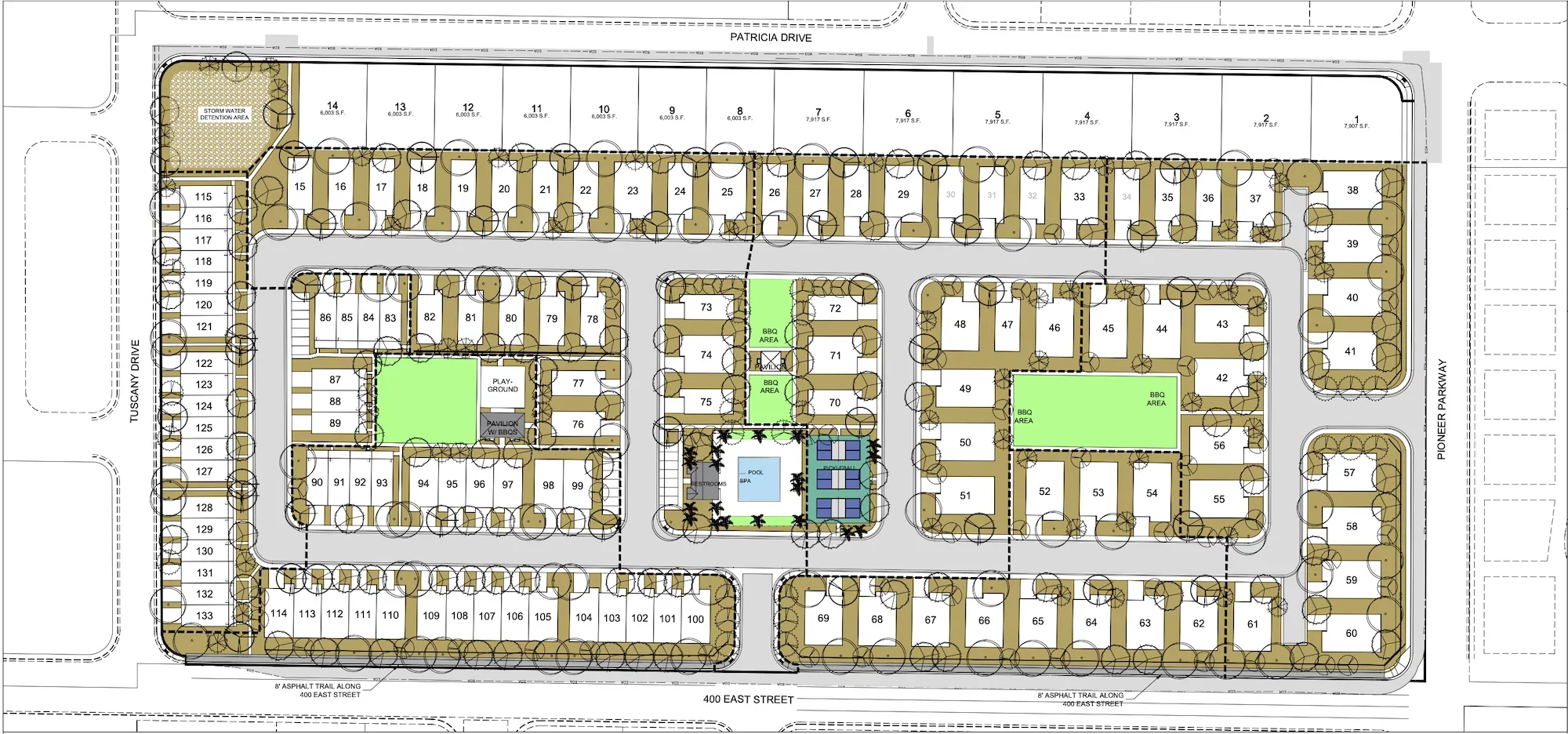 Pioneer Pointe community layout with lot numbers and Patricia Drive