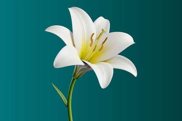 Keeping well Keeping well