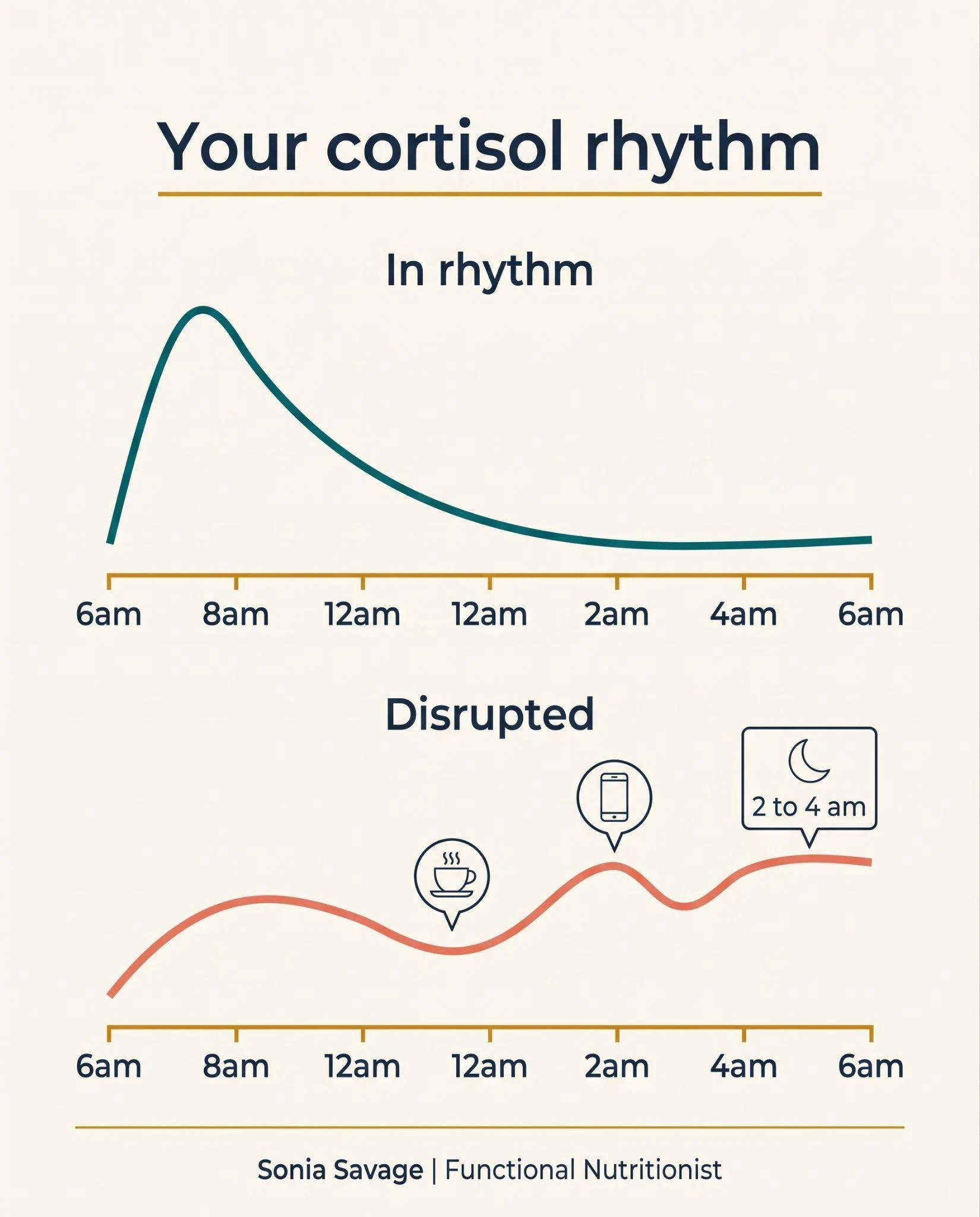 Infographic comparing a healthy cortisol rhythm, high in the morning and low at night, with a disrupted rhythm that stays elevated in the evening.