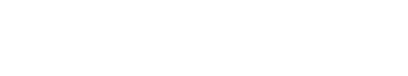 Fuzzion Media