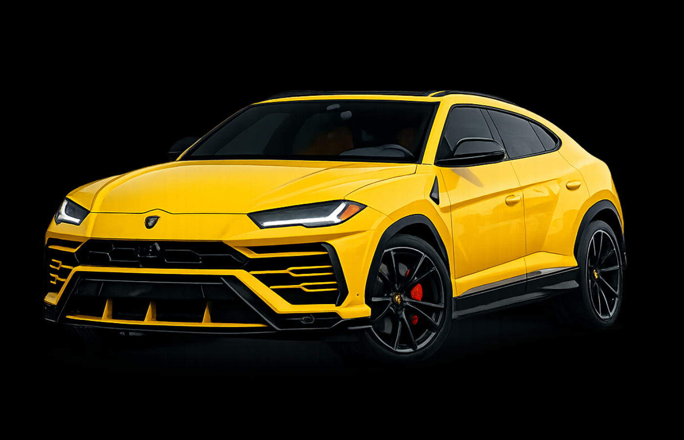 Lambo Yellow with black 