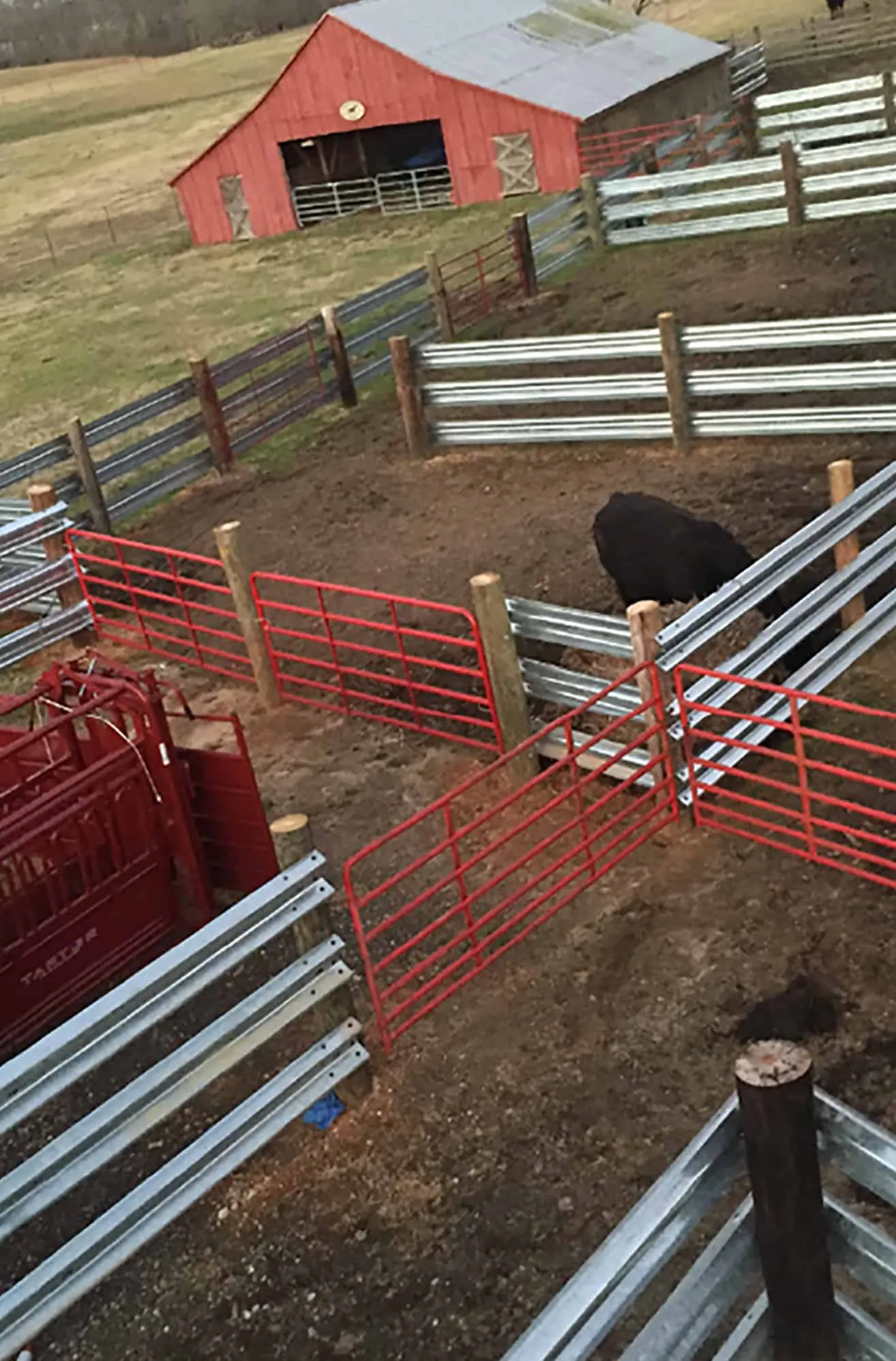 Livestock corral built from W-beam guardrail