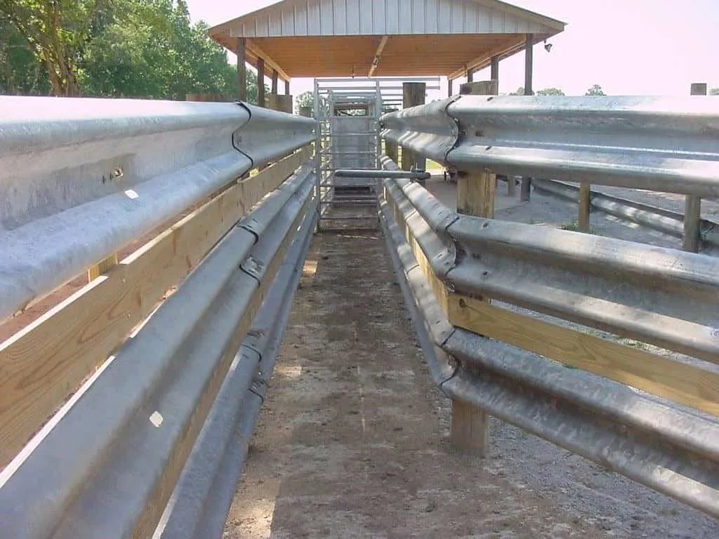 Covered cattle chute with guardrail walls