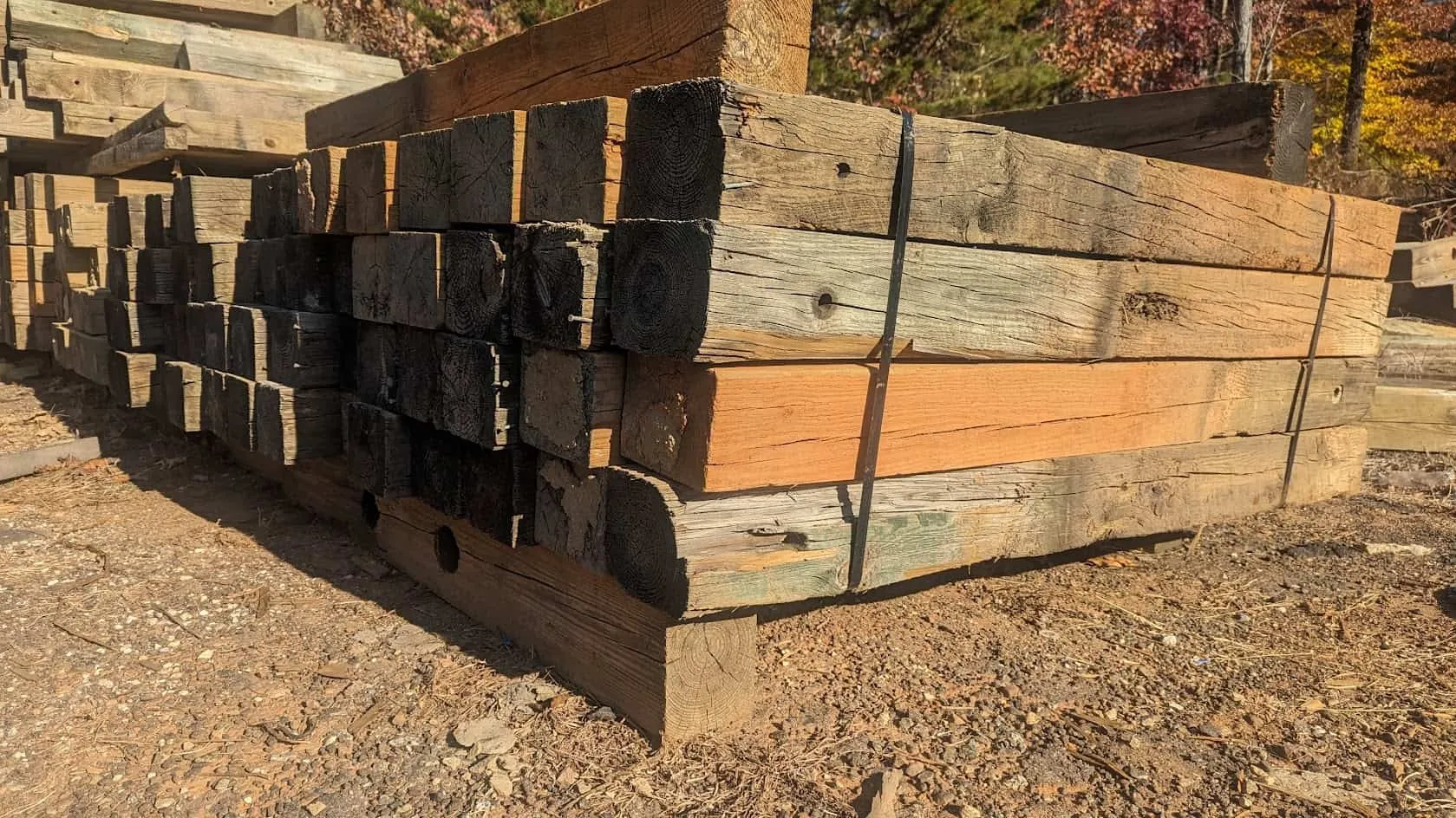 Ends of pressure-treated guardrail timbers