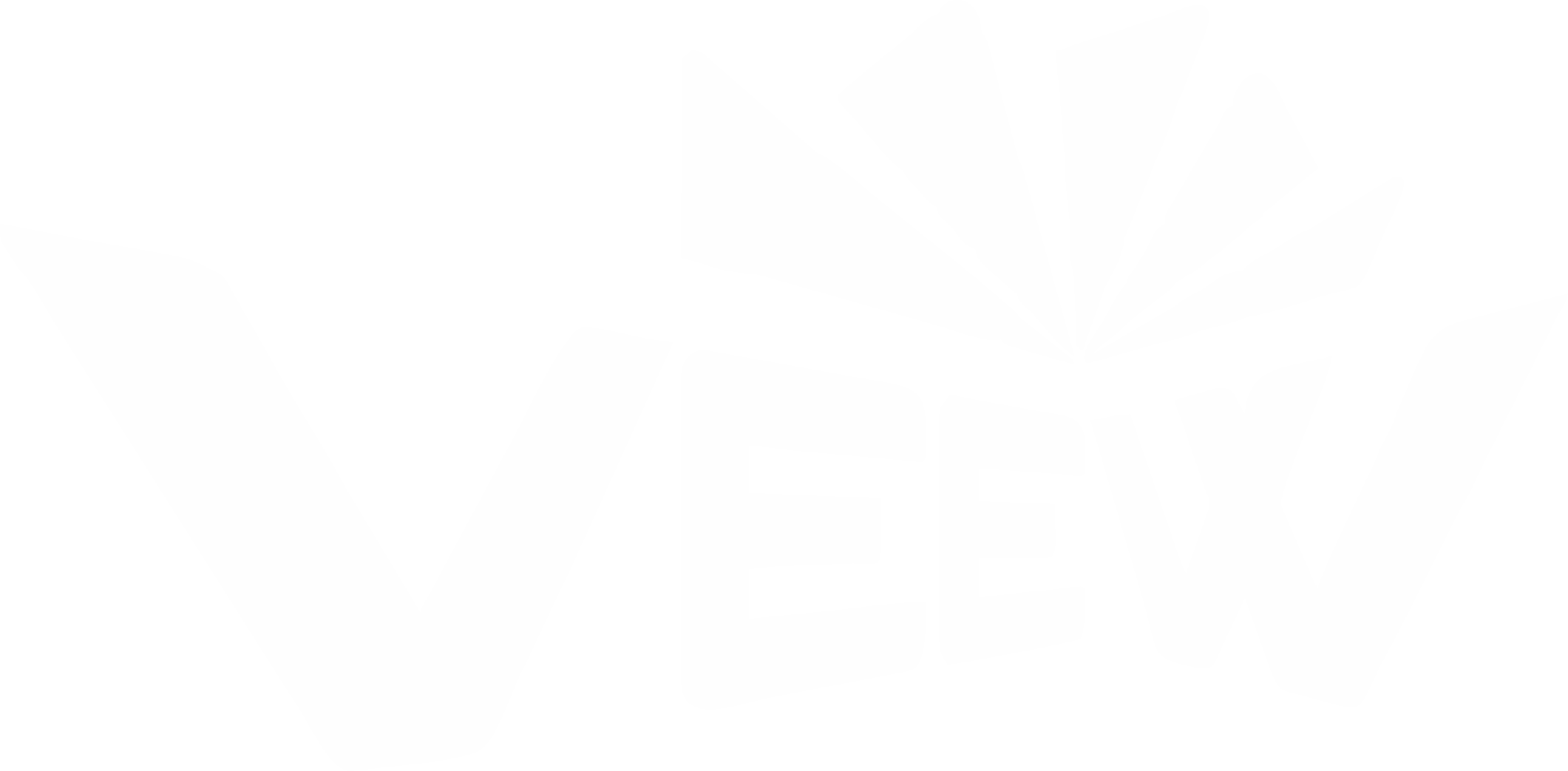 VEEW
