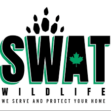 Jonny M business logo