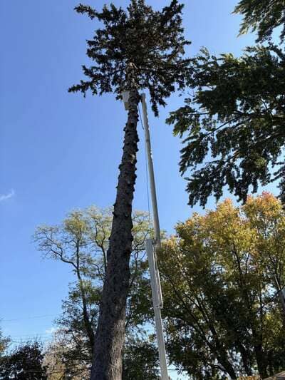 municipal work in Porter county