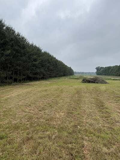 {{ custom_values.service_1 }} in {{custom_values.area_2})