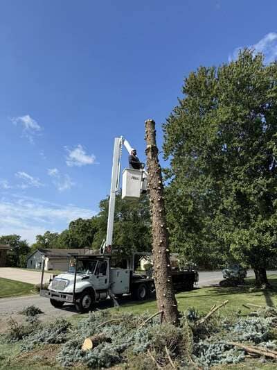 {{ custom_values.service_3 }} in {{custom_values.area_3})