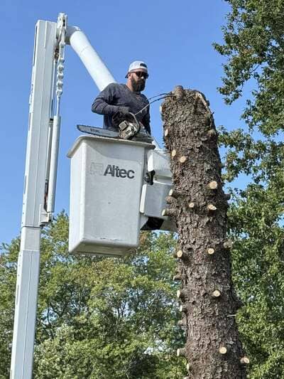 lot clearing in Lake county