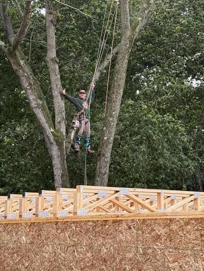lot clearing in Porter county