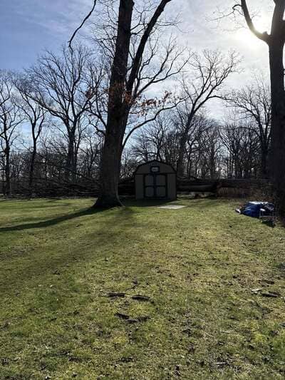 tree removal in Lake county