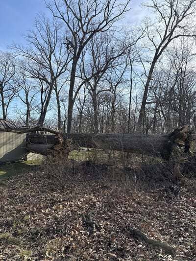 {{ custom_values.service_3 }} in {{custom_values.area_3})