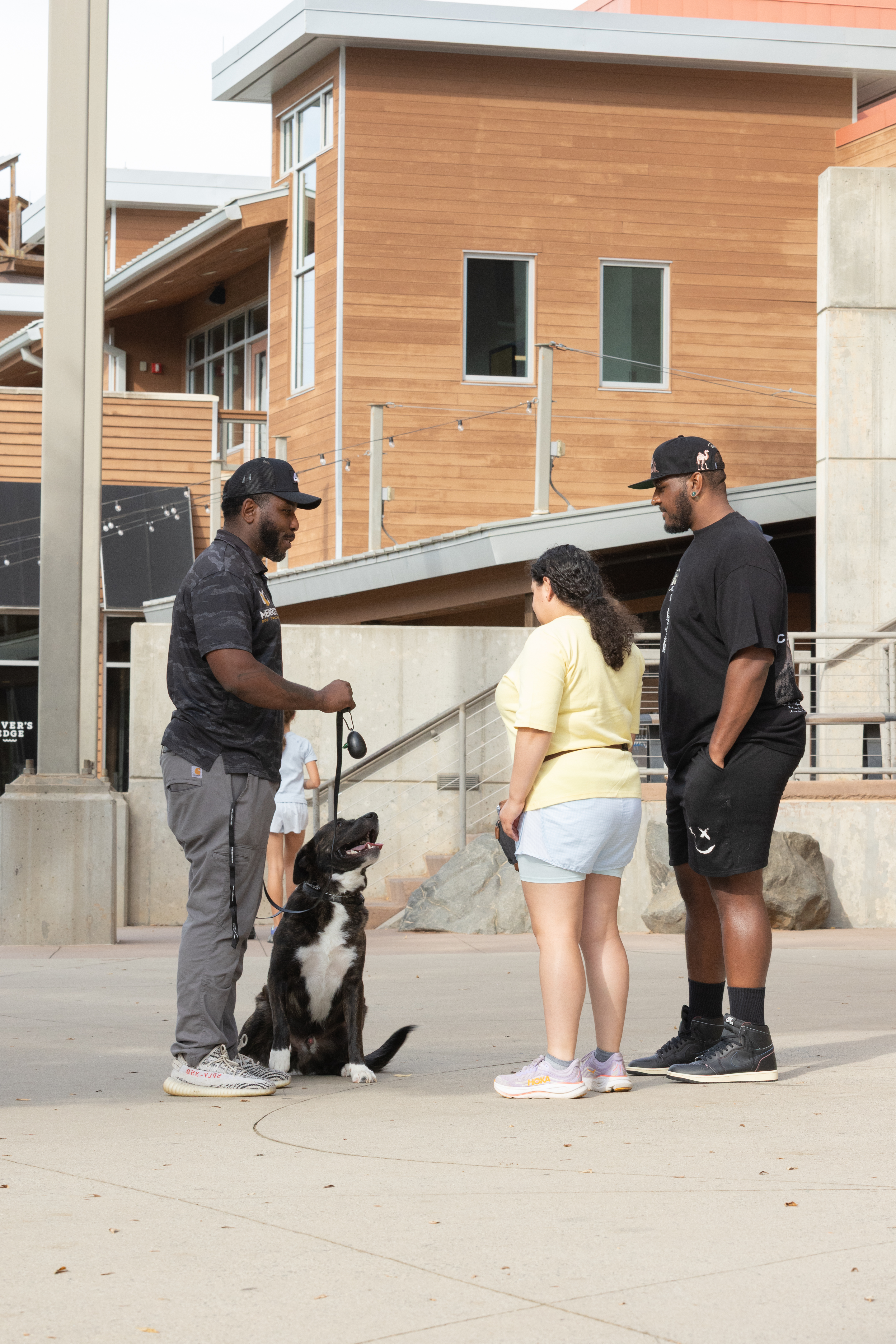 A group of dogs and their owners in a training class with distractions