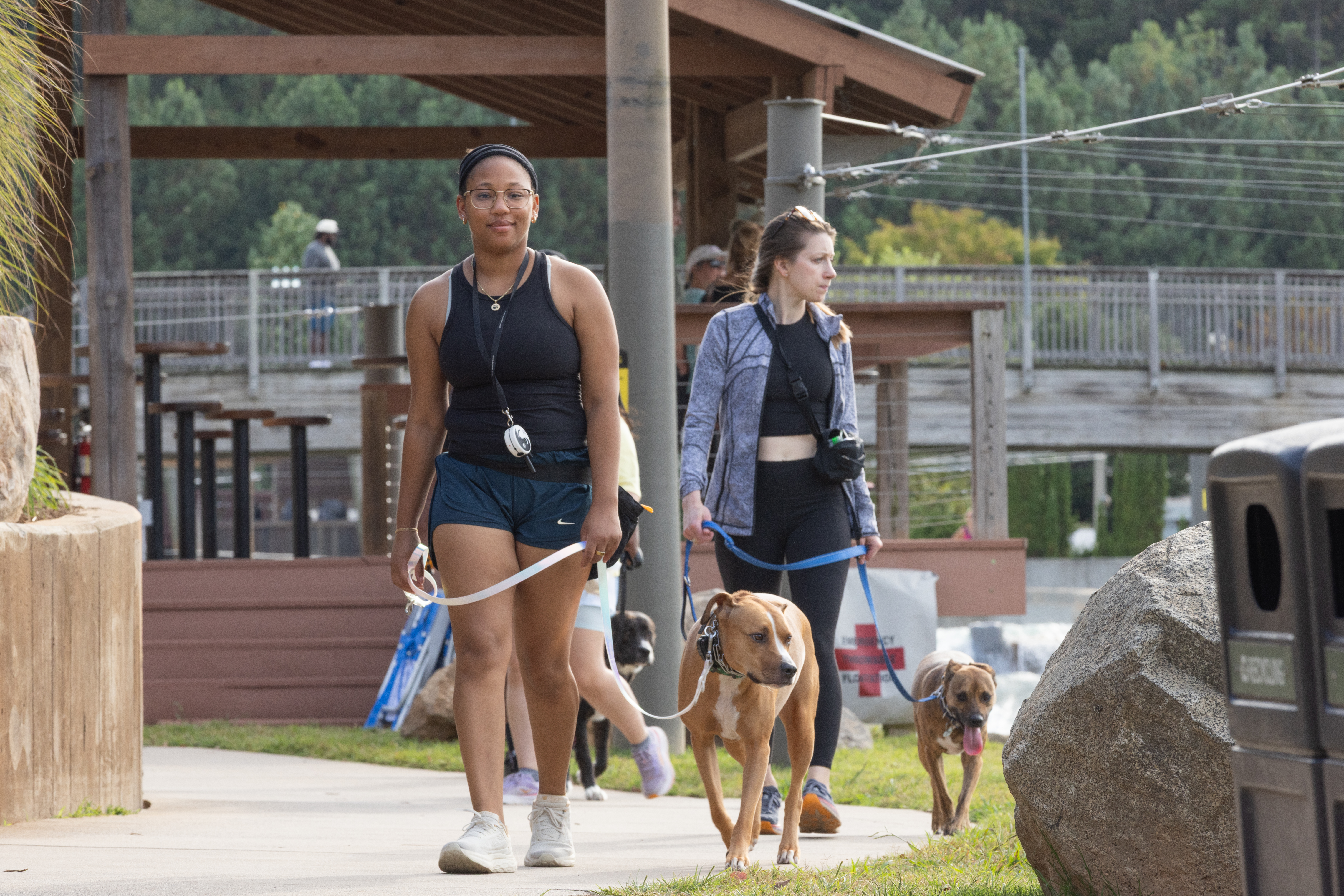 Happy dog walking calmly with owner in public area, showcasing real-world reliability