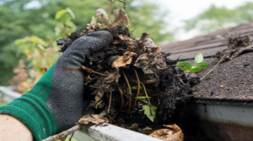 Clean the Gutters