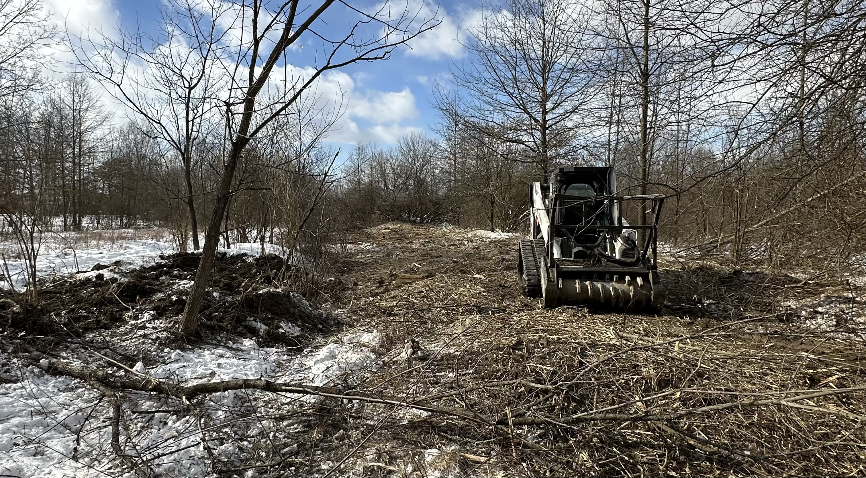 Selective land clearing with skid steer mulching head in Ohio
