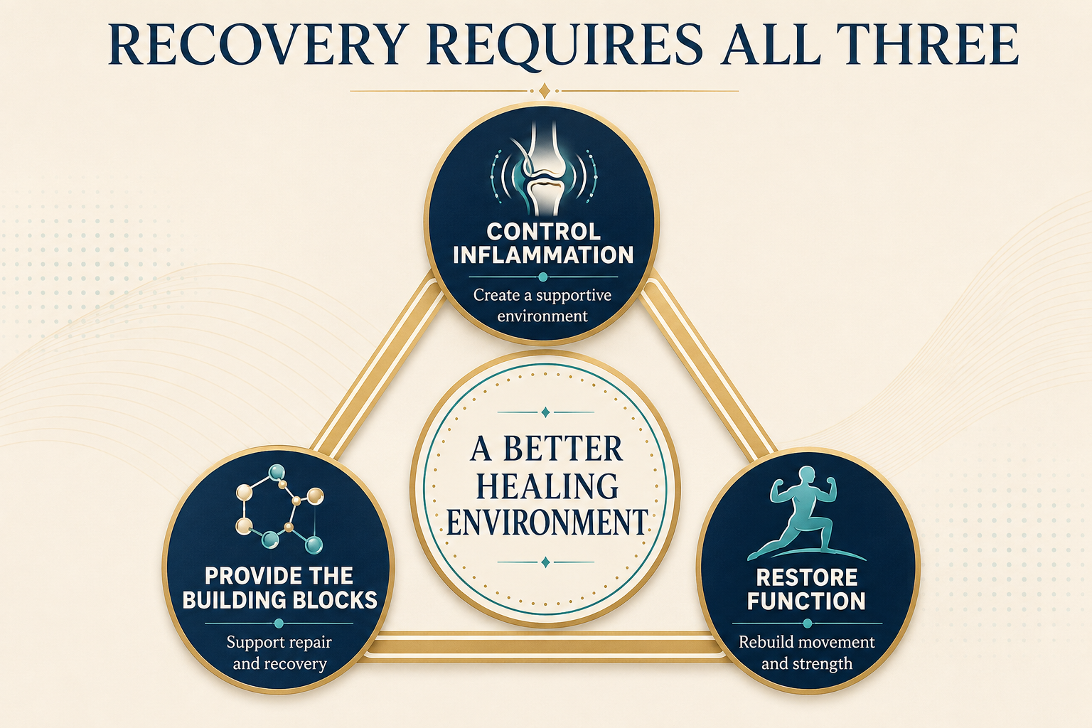Martin Healing Triangle connecting control inflammation, provide the building blocks, and restore function to create a better healing environment. Martin Healing Triangle connecting control inflammation, provide the building blocks, and restore function to create a better healing environment.