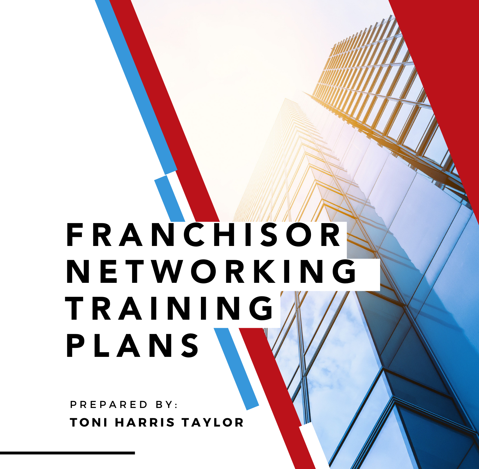 Franchise Networking with Toni Harris Taylor