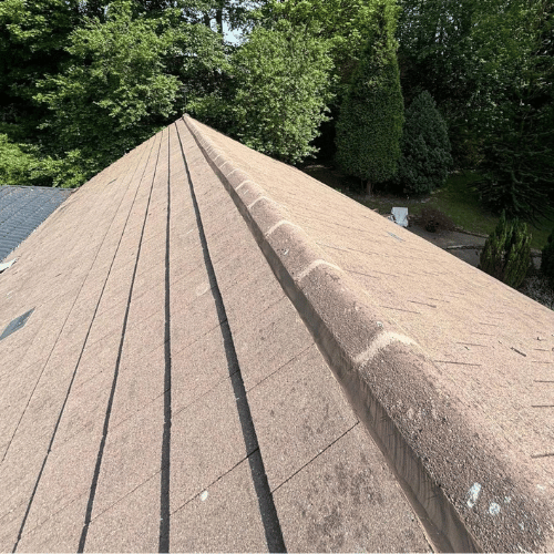 Recent roof project
