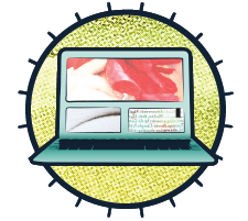 Ginko Digital Stunning Websites
