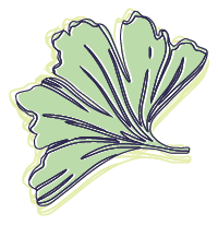 Ginko Digital ginkgo leaves graphic, Pittsburgh