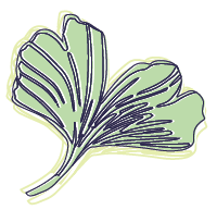 Ginko Digital ginkgo leaves graphic, Pittsburgh